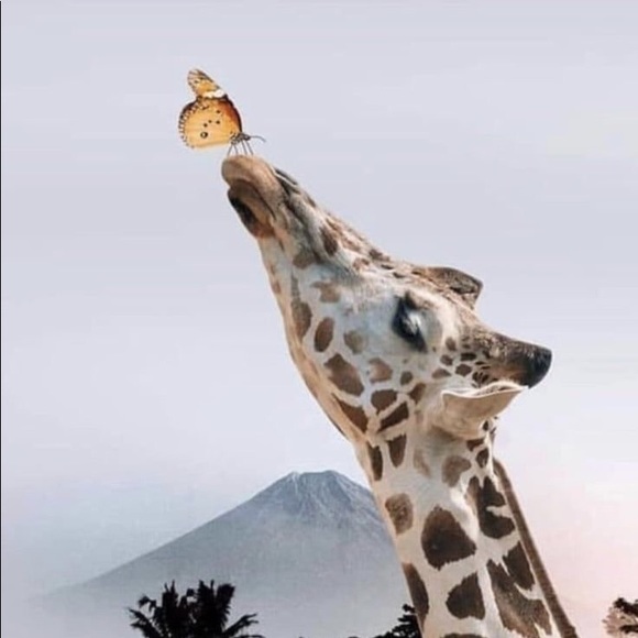 milliemenagerie